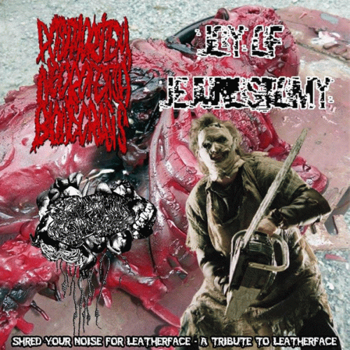 Fermented Anal Urine Of Fecal Splattere Vomit Larvae Of Infected Vaginal Pus Made Of Liquid Fetus Di : Shred Your Noise For Leatherface - A Tribute To Leatherface